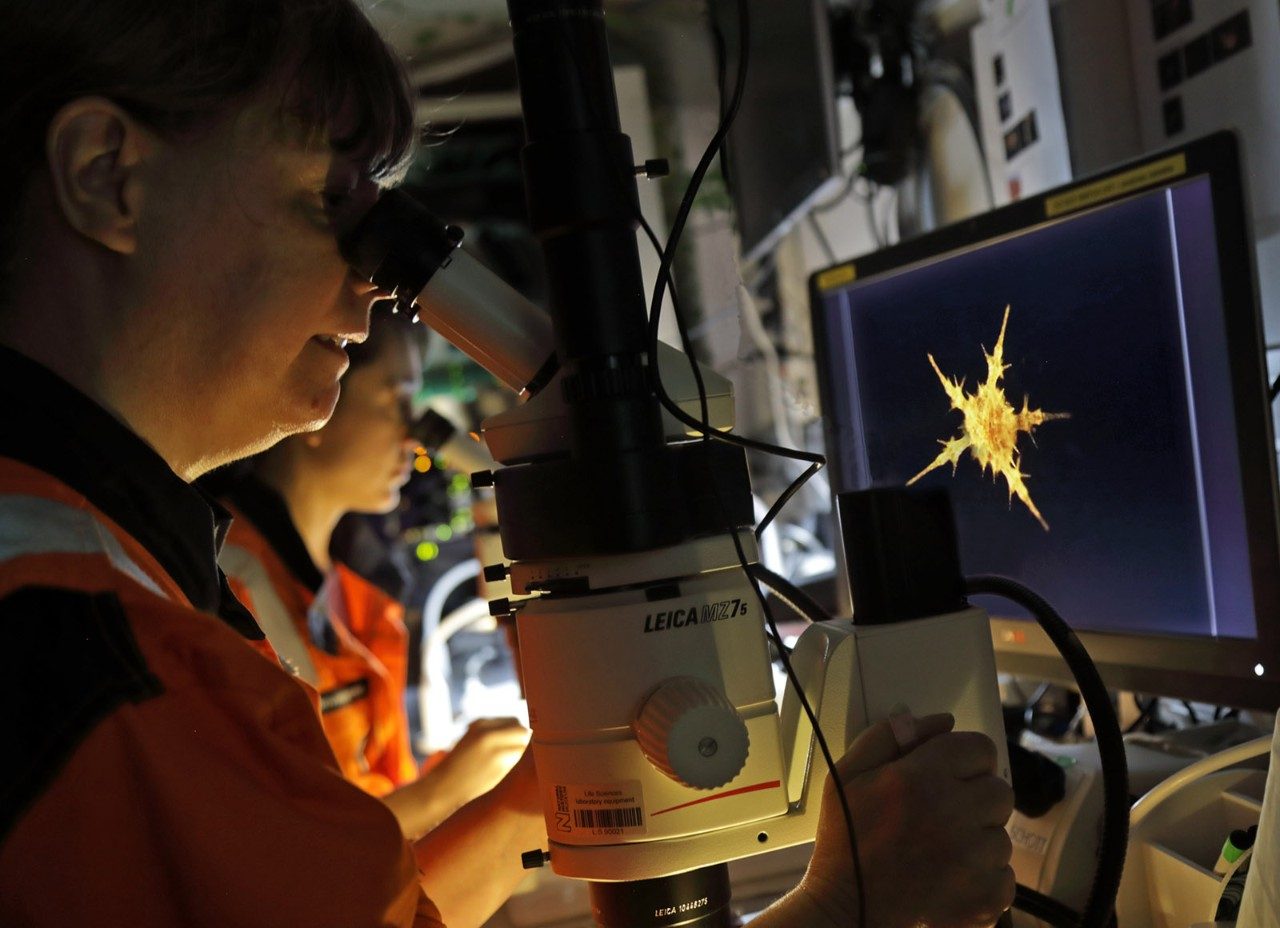 Women of Lunar Trailblazer